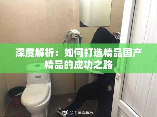 深度解析：如何打造精品国产精品的成功之路