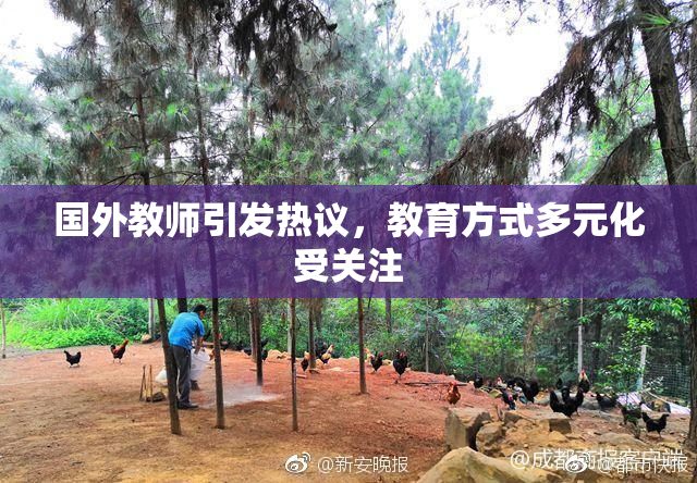 国外教师引发热议，教育方式多元化受关注