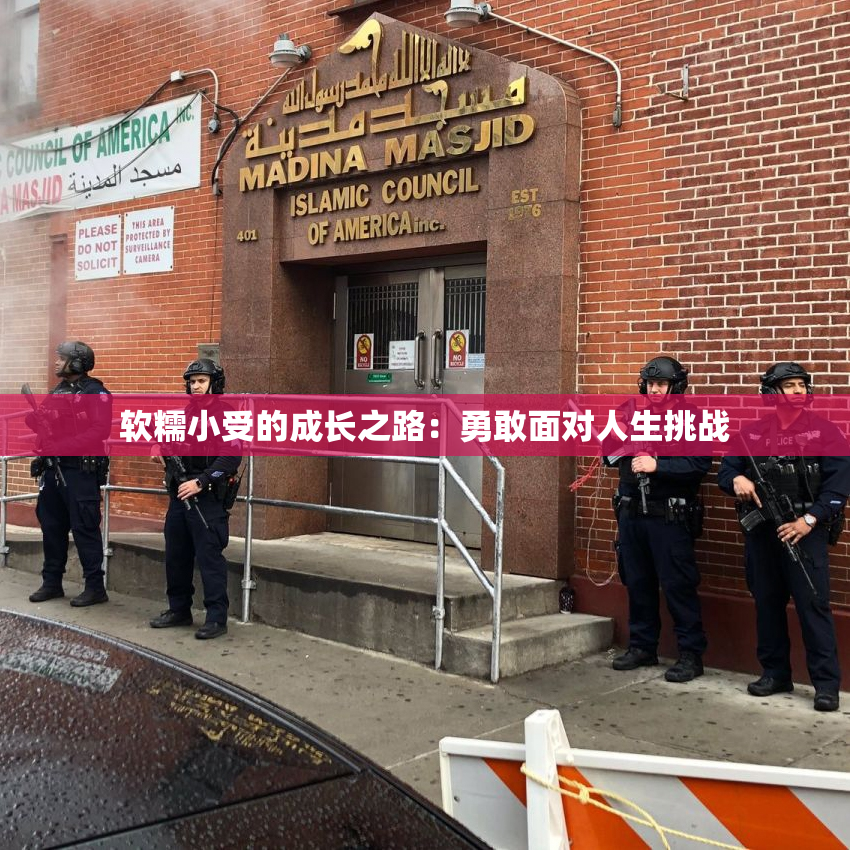 软糯小受的成长之路：勇敢面对人生挑战