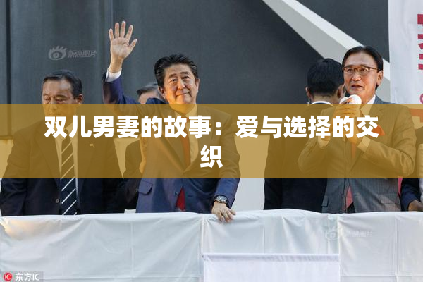 双儿男妻的故事：爱与选择的交织