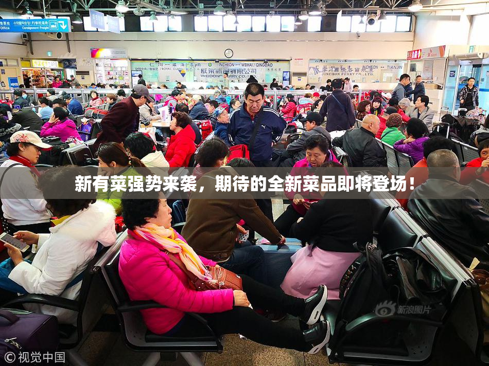 新有菜强势来袭，期待的全新菜品即将登场！