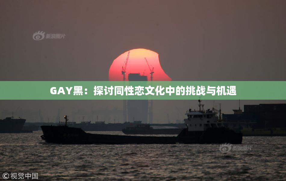 GAY黑：探讨同性恋文化中的挑战与机遇
