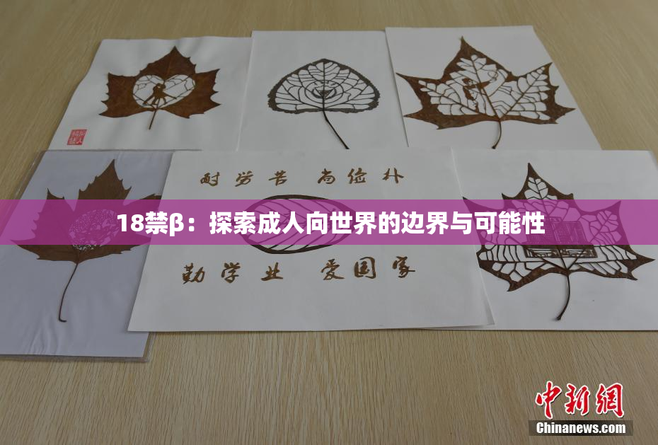 18禁β：探索成人向世界的边界与可能性