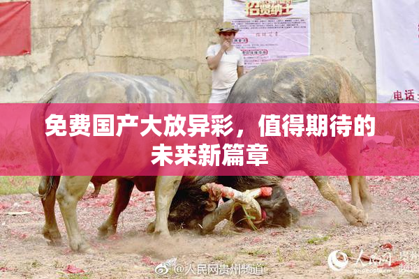 免费国产大放异彩，值得期待的未来新篇章