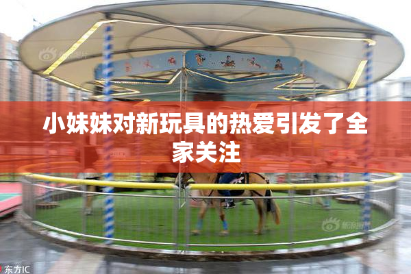 小妹妹对新玩具的热爱引发了全家关注