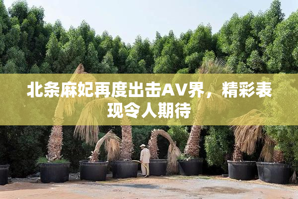 北条麻妃再度出击AV界，精彩表现令人期待