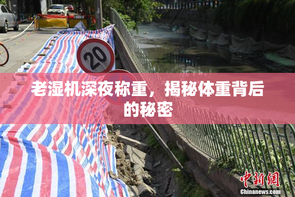 老湿机深夜称重，揭秘体重背后的秘密