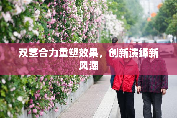 双茎合力重塑效果，创新演绎新风潮
