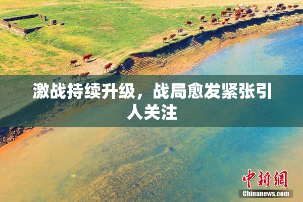 激战持续升级，战局愈发紧张引人关注