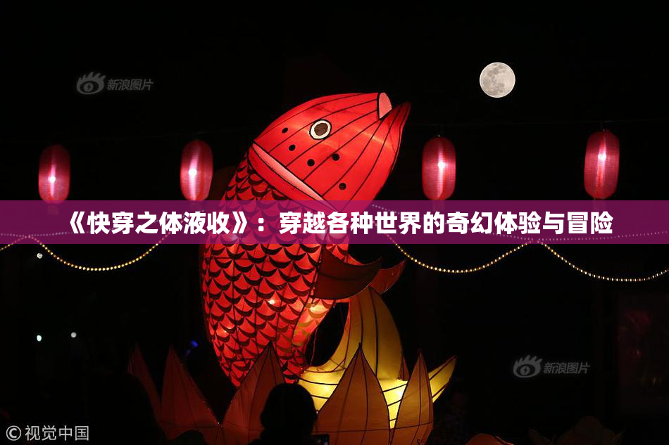 《快穿之体液收》：穿越各种世界的奇幻体验与冒险