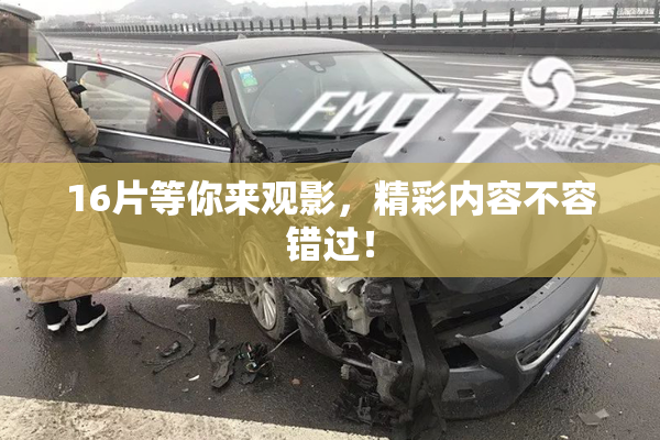 16片等你来观影，精彩内容不容错过！