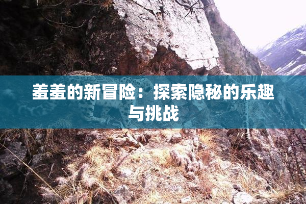 羞羞的新冒险：探索隐秘的乐趣与挑战