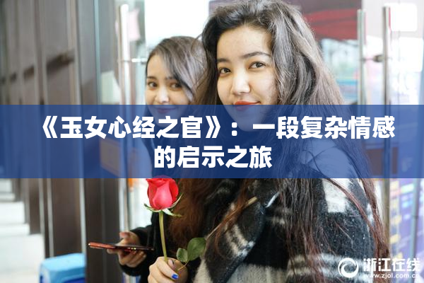 《玉女心经之官》：一段复杂情感的启示之旅