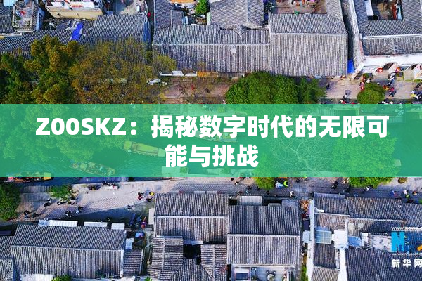 Z00SKZ：揭秘数字时代的无限可能与挑战
