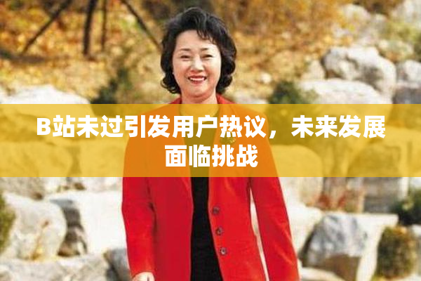 B站未过引发用户热议，未来发展面临挑战