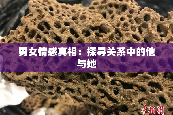 男女情感真相：探寻关系中的他与她