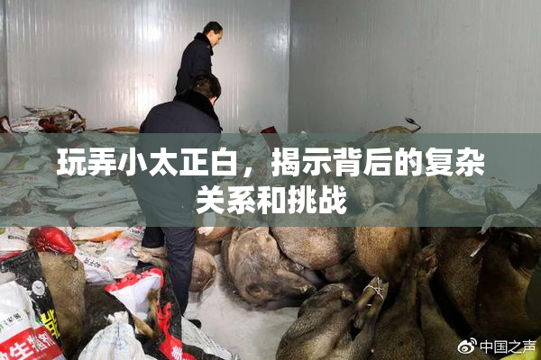 玩弄小太正白，揭示背后的复杂关系和挑战