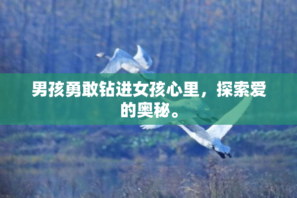 男孩勇敢钻进女孩心里，探索爱的奥秘。