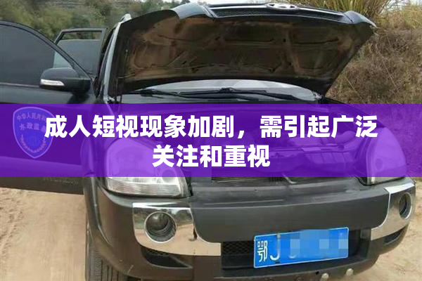 成人短视现象加剧，需引起广泛关注和重视