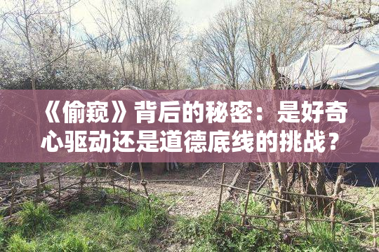 《偷窥》背后的秘密：是好奇心驱动还是道德底线的挑战？