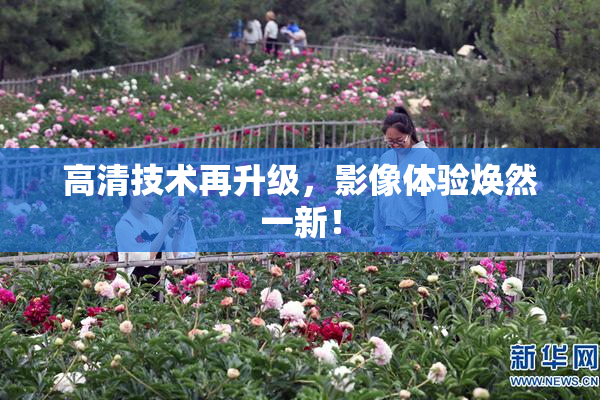 高清技术再升级，影像体验焕然一新！