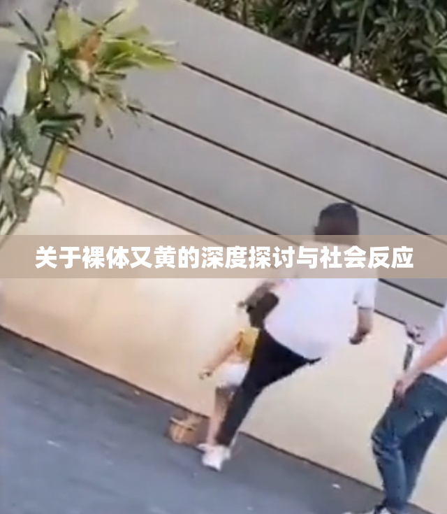 关于裸体又黄的深度探讨与社会反应