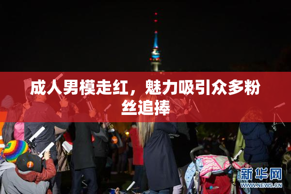 成人男模走红，魅力吸引众多粉丝追捧