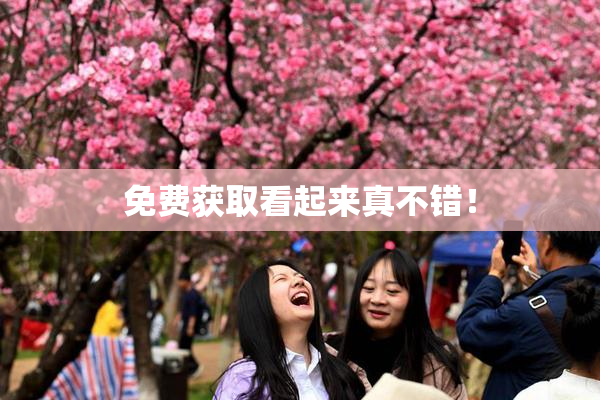 免费获取看起来真不错！
