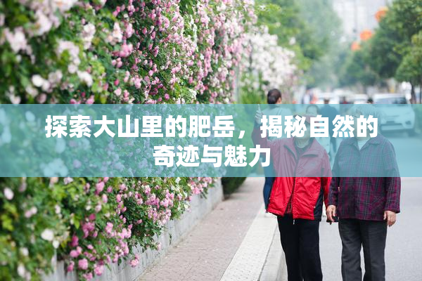 探索大山里的肥岳，揭秘自然的奇迹与魅力