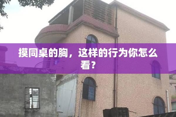 摸同桌的胸，这样的行为你怎么看？