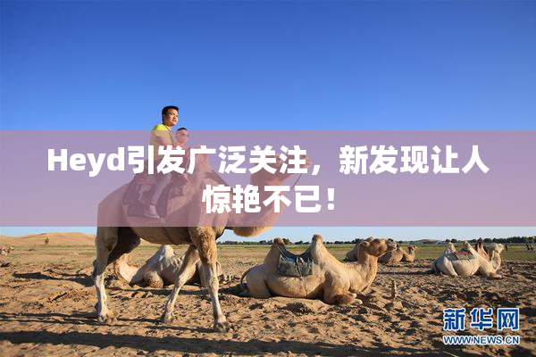 Heyd引发广泛关注，新发现让人惊艳不已！