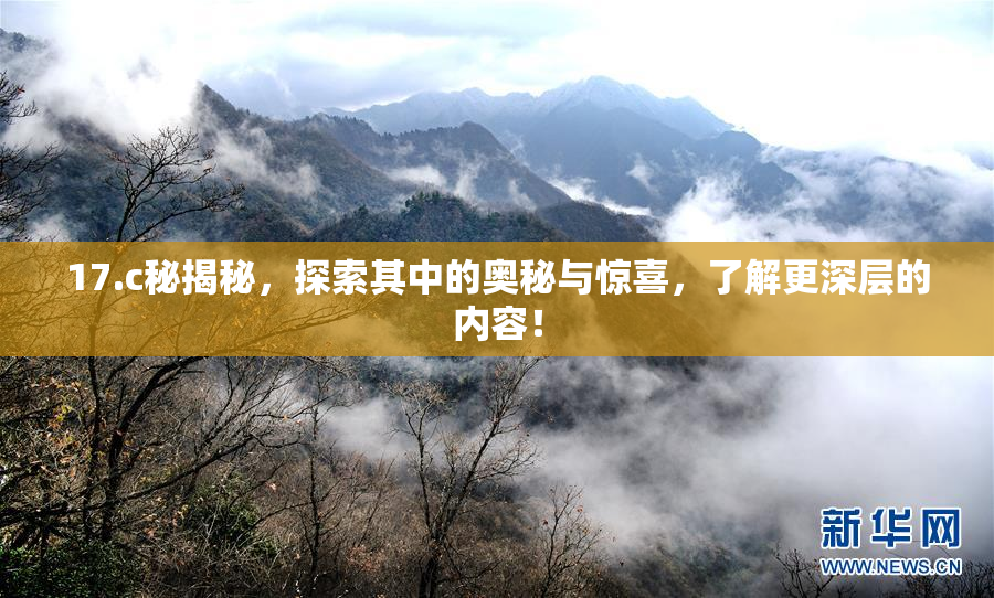17.c秘揭秘，探索其中的奥秘与惊喜，了解更深层的内容！