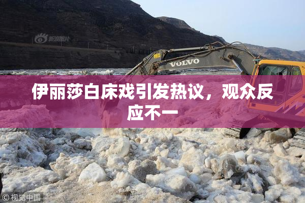 伊丽莎白床戏引发热议，观众反应不一