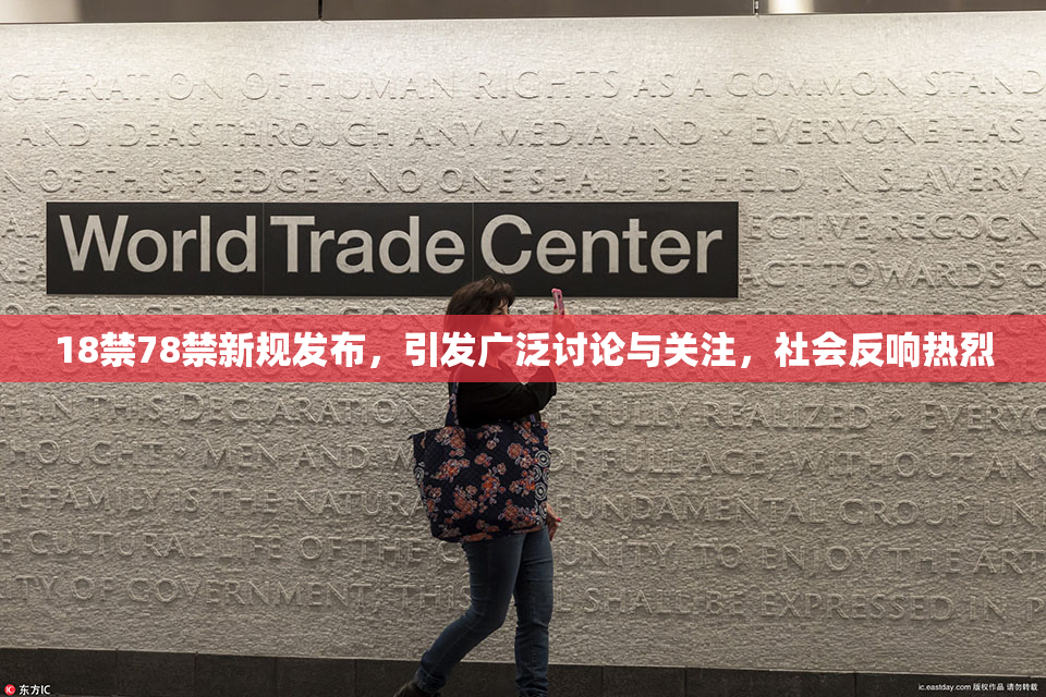 18禁78禁新规发布，引发广泛讨论与关注，社会反响热烈