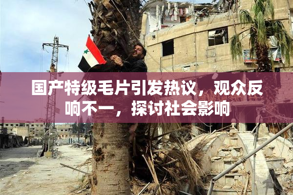 国产特级毛片引发热议，观众反响不一，探讨社会影响