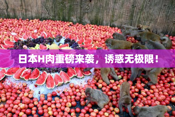 日本H肉重磅来袭，诱惑无极限！