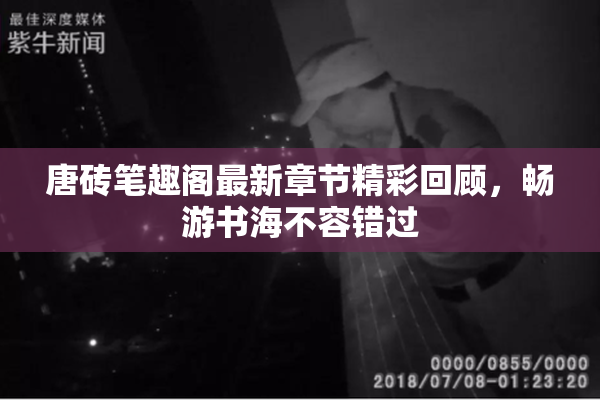 唐砖笔趣阁最新章节精彩回顾，畅游书海不容错过