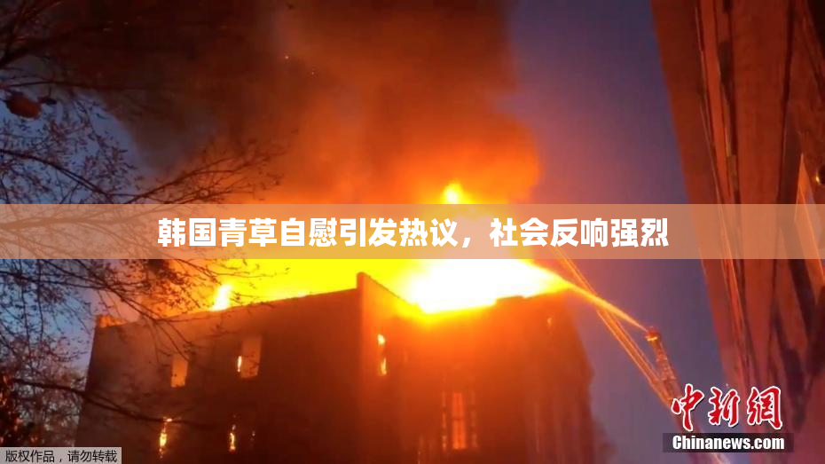 韩国青草自慰引发热议，社会反响强烈