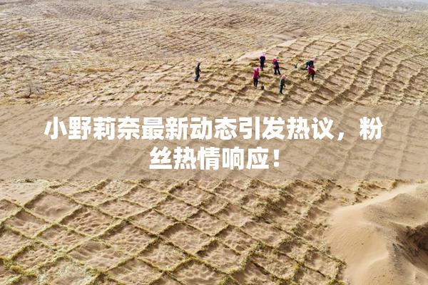 小野莉奈最新动态引发热议，粉丝热情响应！