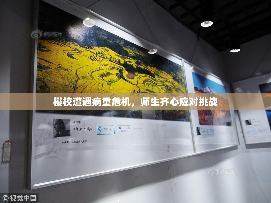 樱校遭遇病重危机，师生齐心应对挑战