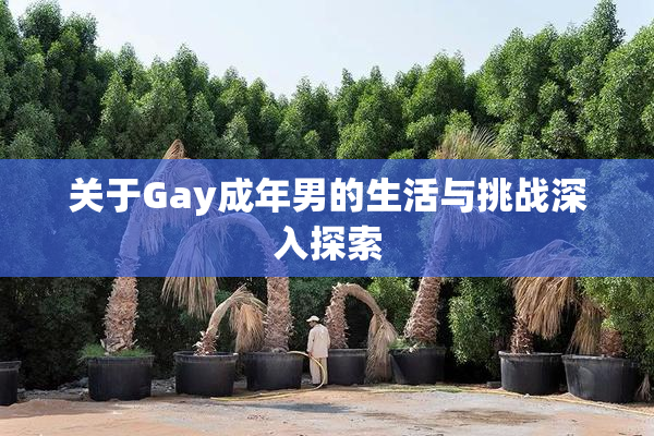 关于Gay成年男的生活与挑战深入探索