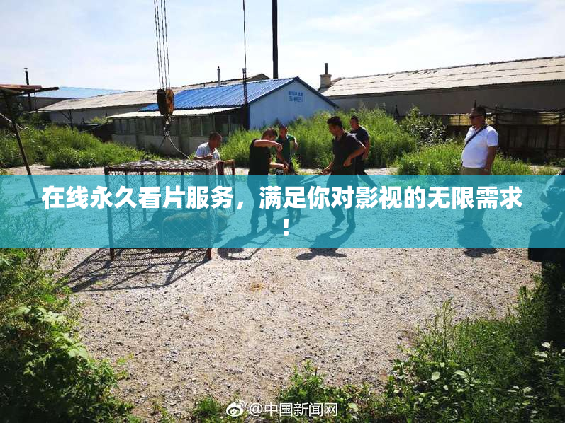 在线永久看片服务，满足你对影视的无限需求！