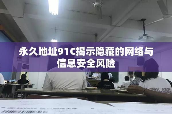 永久地址91C揭示隐藏的网络与信息安全风险