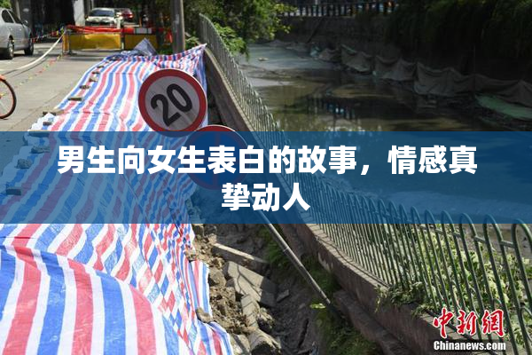 男生向女生表白的故事，情感真挚动人