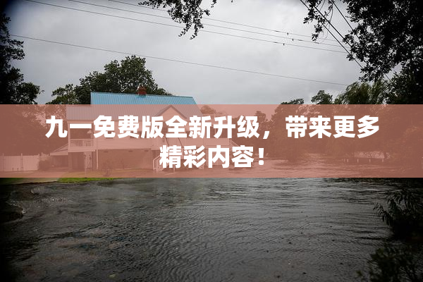九一免费版全新升级，带来更多精彩内容！