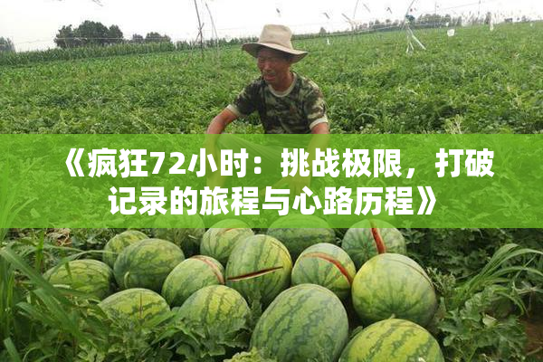 《疯狂72小时：挑战极限，打破记录的旅程与心路历程》