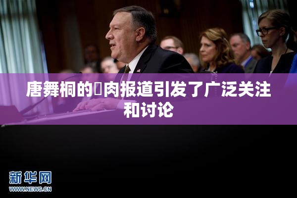 唐舞桐的婬肉报道引发了广泛关注和讨论
