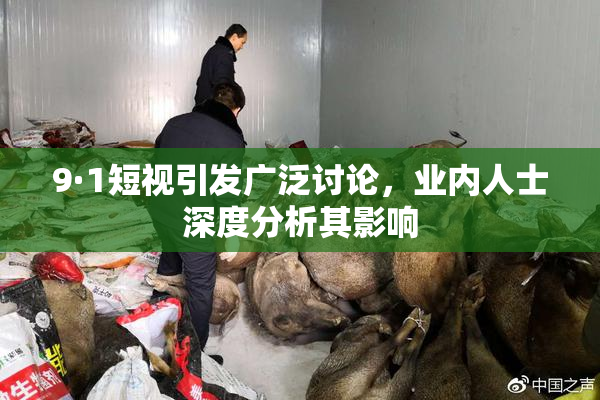9·1短视引发广泛讨论，业内人士深度分析其影响