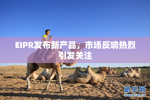 EIPR发布新产品，市场反响热烈引发关注