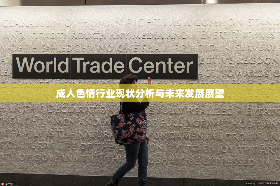 成人色情行业现状分析与未来发展展望